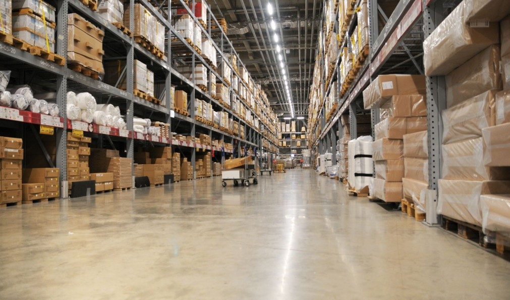 Cheese Brie Sandwich